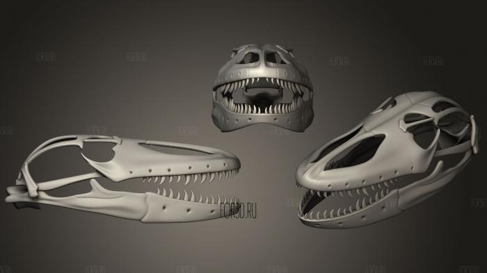 Komodo Dragon Skull stl model for CNC